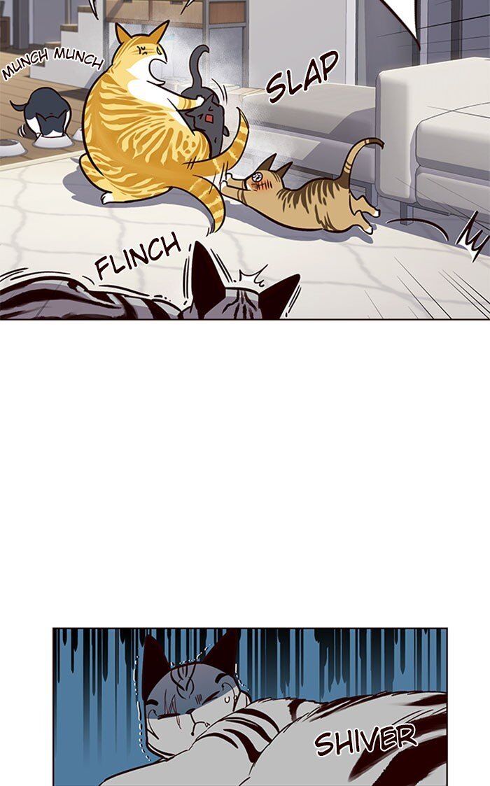 Hoá Thân Thành Mèo Chap 37 - Next Chap 38