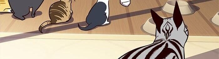 Hoá Thân Thành Mèo Chap 38 - Next Chap 39