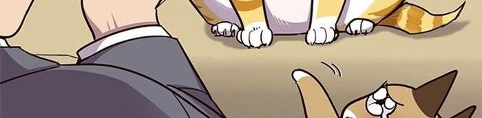 Hoá Thân Thành Mèo Chap 38 - Next Chap 39