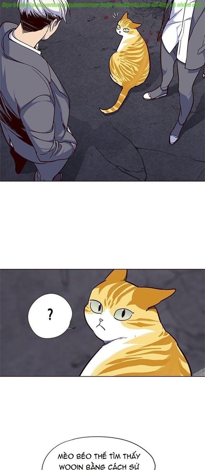 Hoá Thân Thành Mèo Chap 41 - Next Chap 42