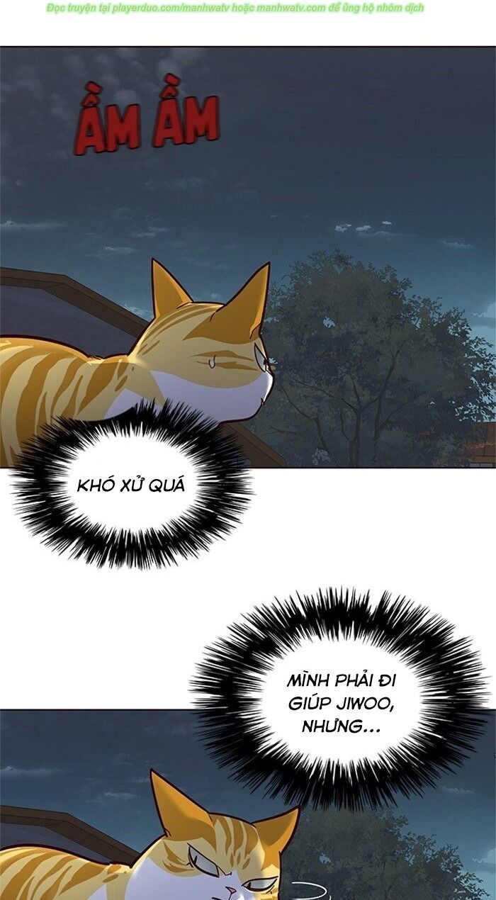 Hoá Thân Thành Mèo Chap 43 - Next Chap 44