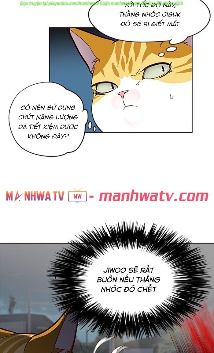 Hoá Thân Thành Mèo Chap 43 - Next Chap 44