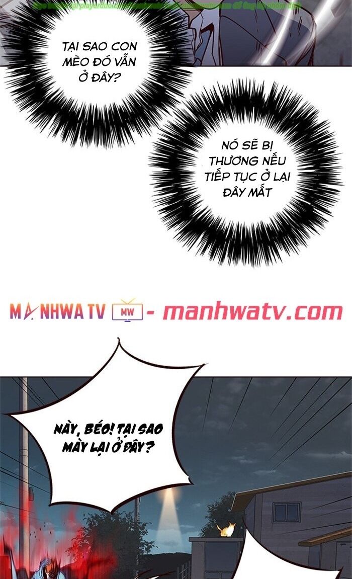 Hoá Thân Thành Mèo Chap 43 - Next Chap 44