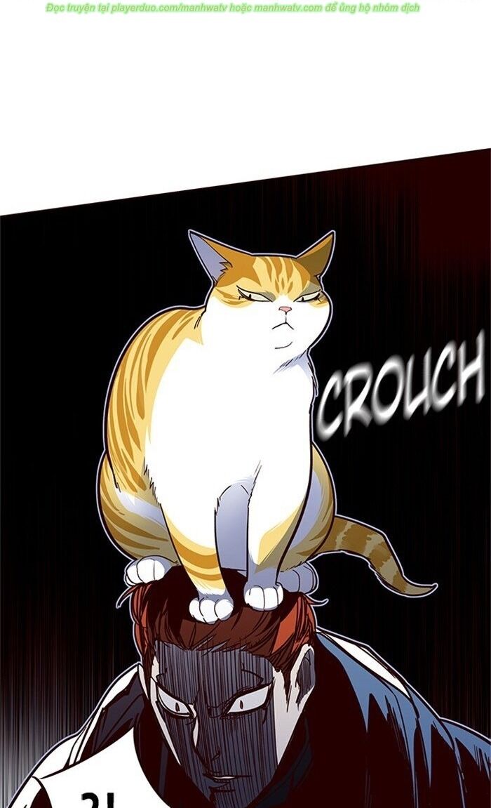 Hoá Thân Thành Mèo Chap 43 - Next Chap 44