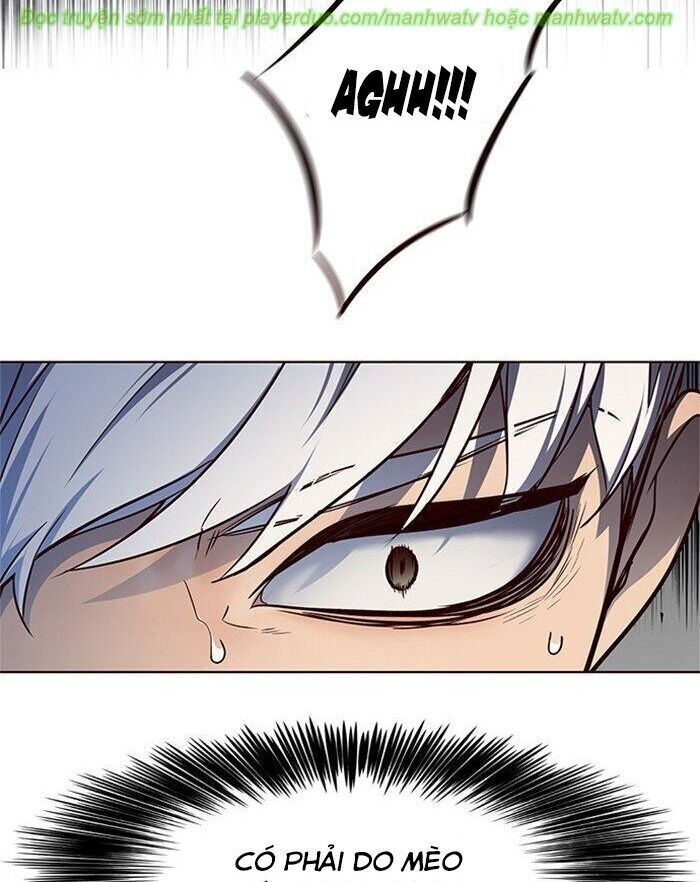 Hoá Thân Thành Mèo Chap 45 - Next Chap 46