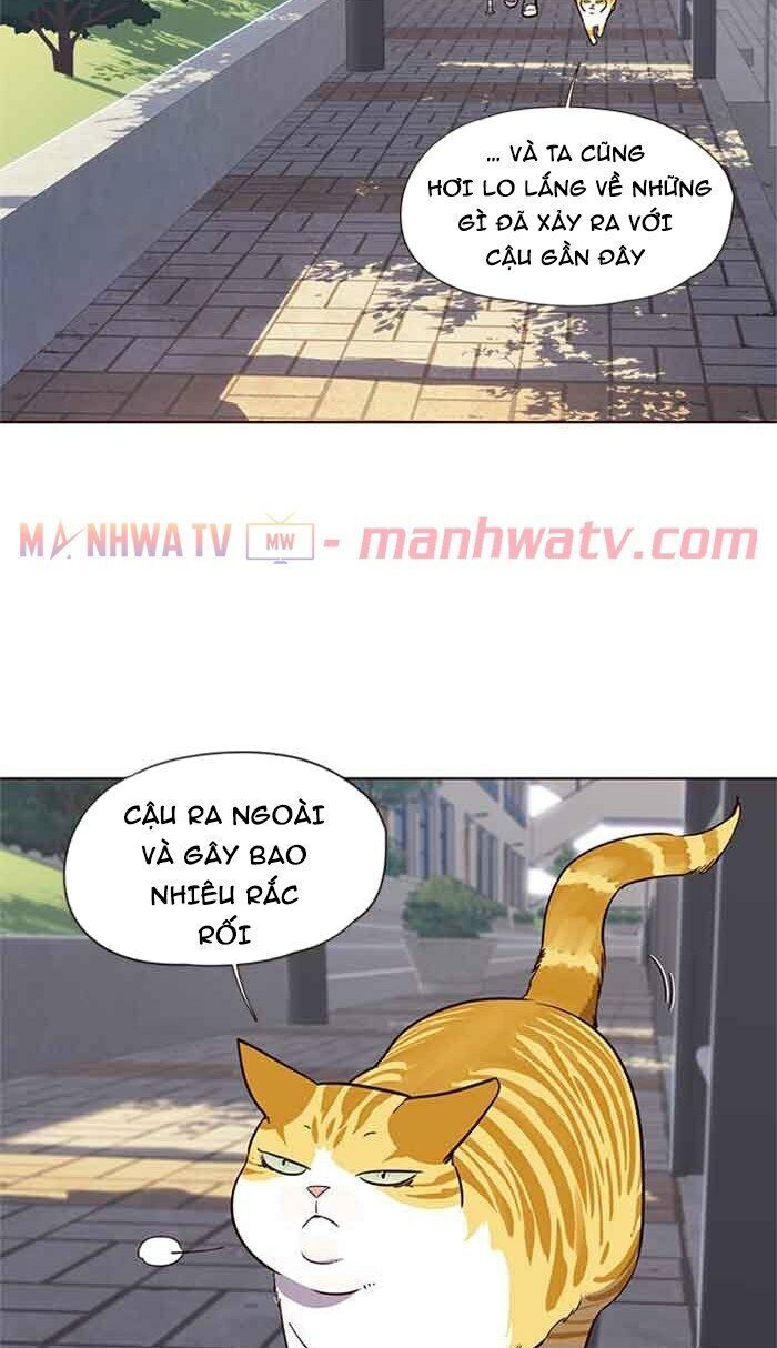 Hoá Thân Thành Mèo Chap 18 - Next Chap 19