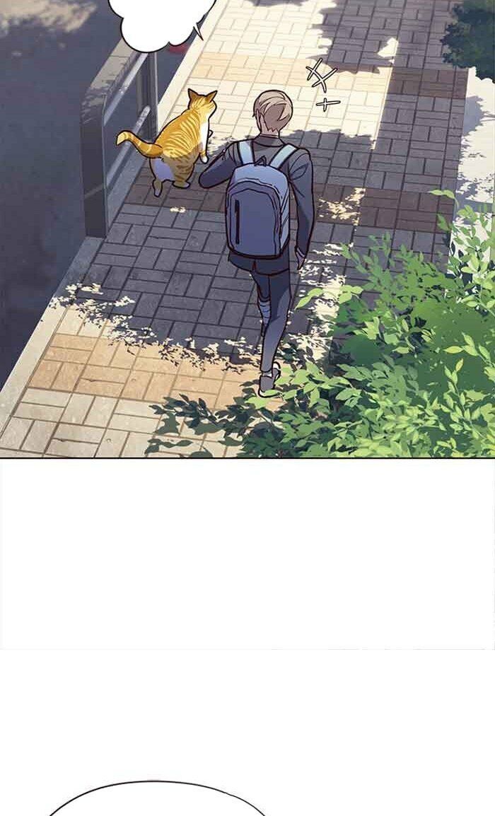 Hoá Thân Thành Mèo Chap 18 - Next Chap 19