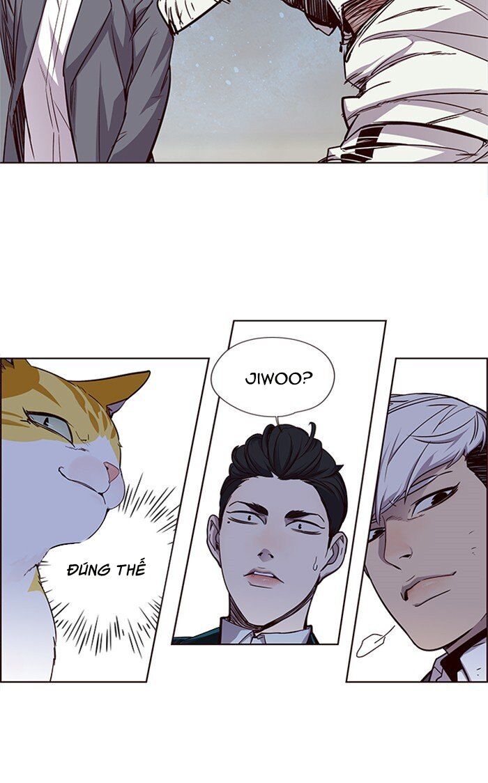 Hoá Thân Thành Mèo Chap 26 - Next Chap 27