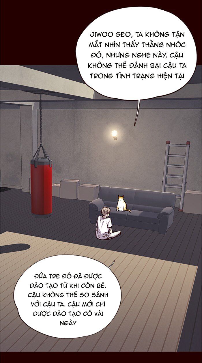 Hoá Thân Thành Mèo Chap 27 - Next Chap 28