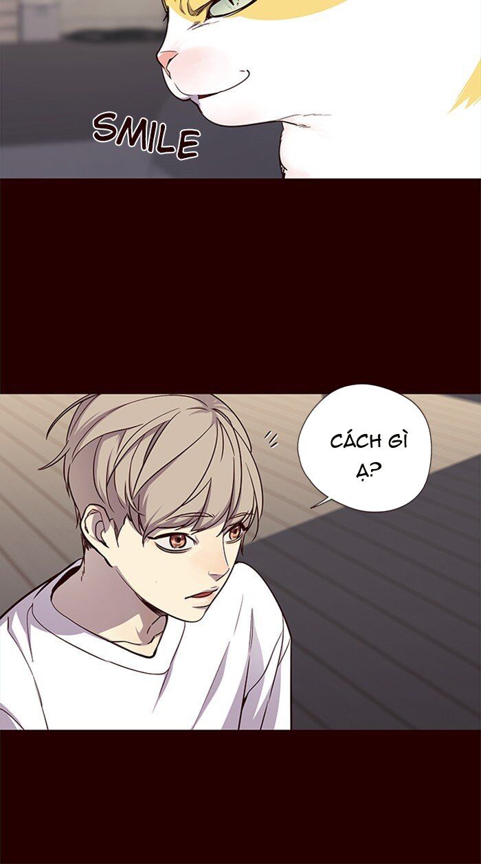 Hoá Thân Thành Mèo Chap 27 - Next Chap 28