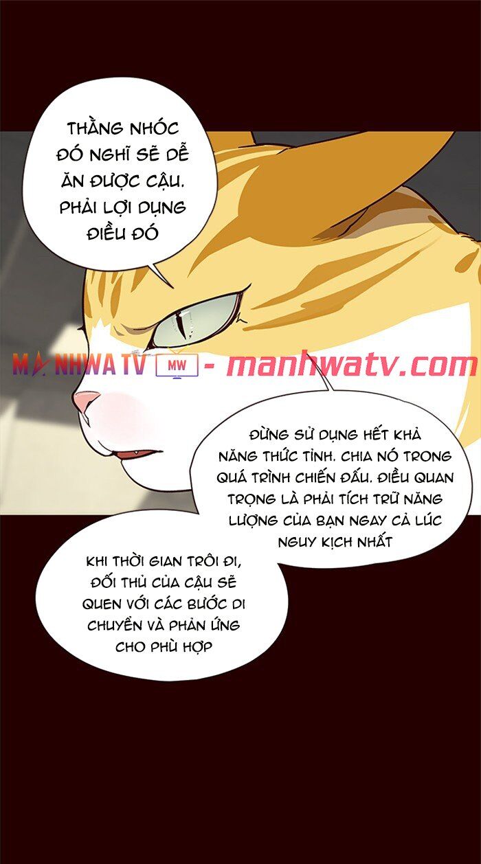 Hoá Thân Thành Mèo Chap 27 - Next Chap 28