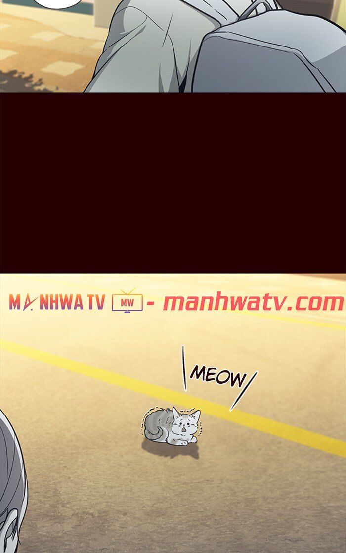 Hoá Thân Thành Mèo Chap 27 - Next Chap 28