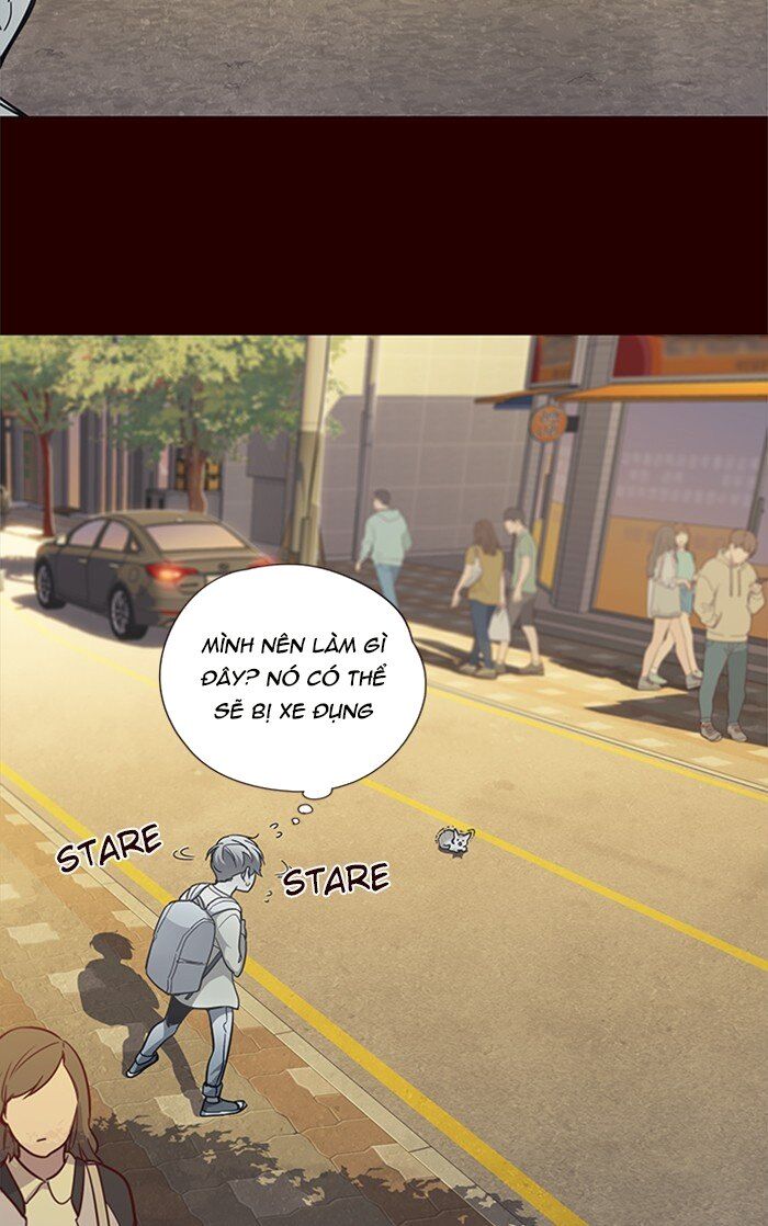 Hoá Thân Thành Mèo Chap 27 - Next Chap 28