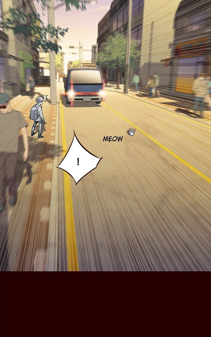 Hoá Thân Thành Mèo Chap 27 - Next Chap 28