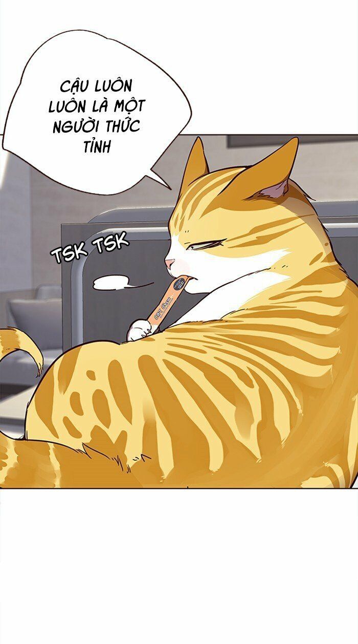 Hoá Thân Thành Mèo Chap 28 - Next Chap 29