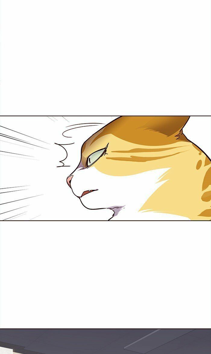 Hoá Thân Thành Mèo Chap 28 - Next Chap 29