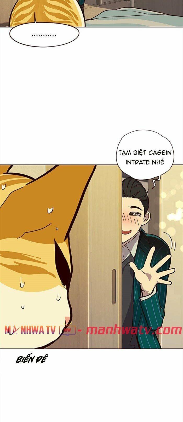 Hoá Thân Thành Mèo Chap 29 - Next Chap 30