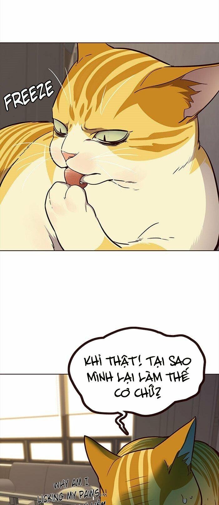 Hoá Thân Thành Mèo Chap 29 - Next Chap 30