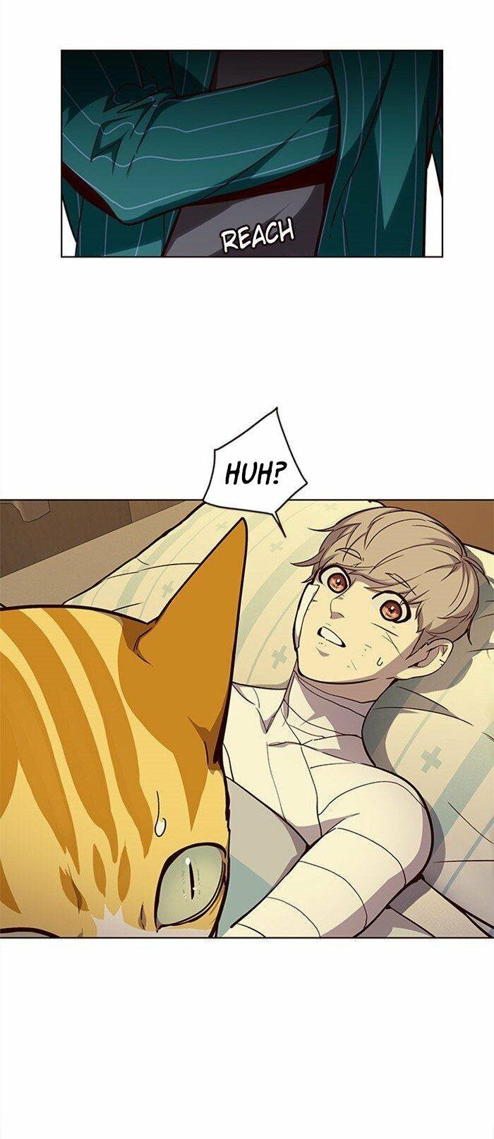 Hoá Thân Thành Mèo Chap 29 - Next Chap 30