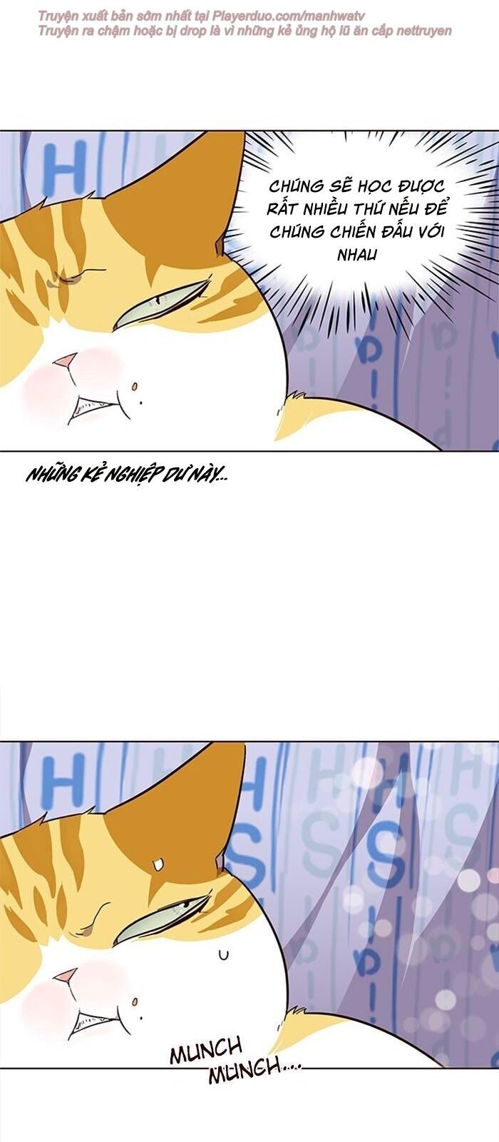 Hoá Thân Thành Mèo Chap 34 - Next Chap 35