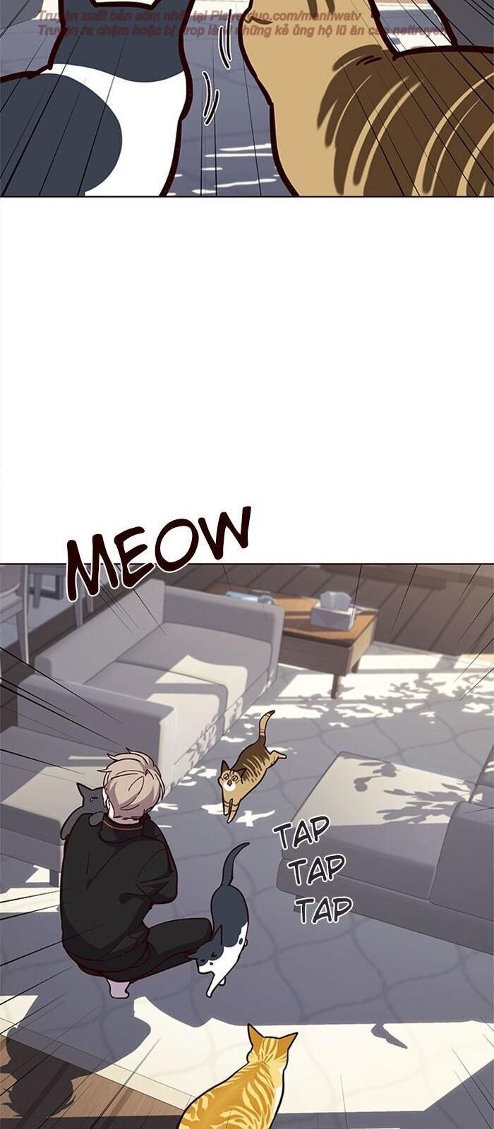 Hoá Thân Thành Mèo Chap 34 - Next Chap 35