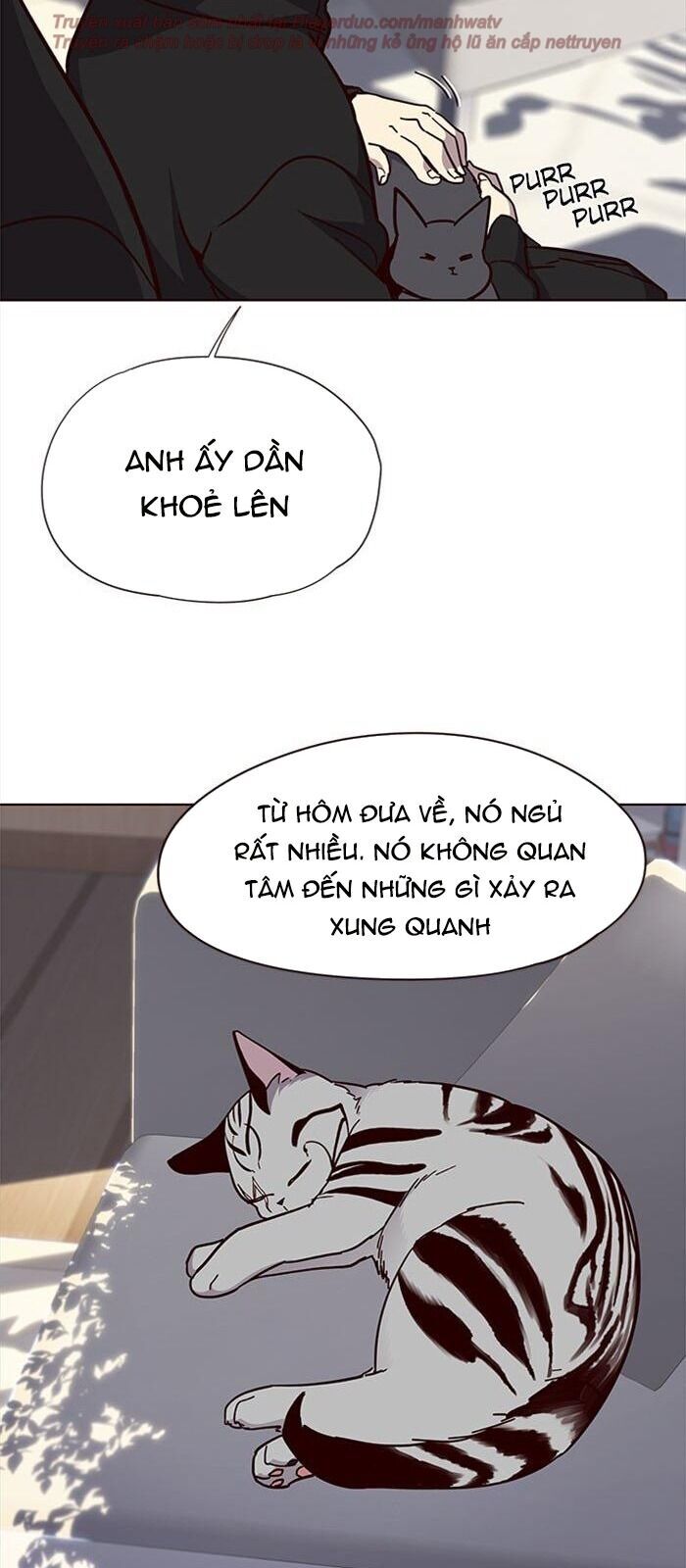Hoá Thân Thành Mèo Chap 34 - Next Chap 35