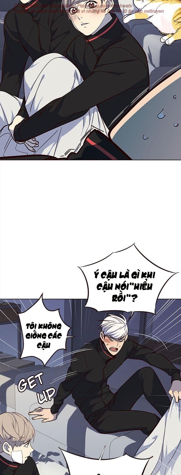 Hoá Thân Thành Mèo Chap 35 - Next Chap 36