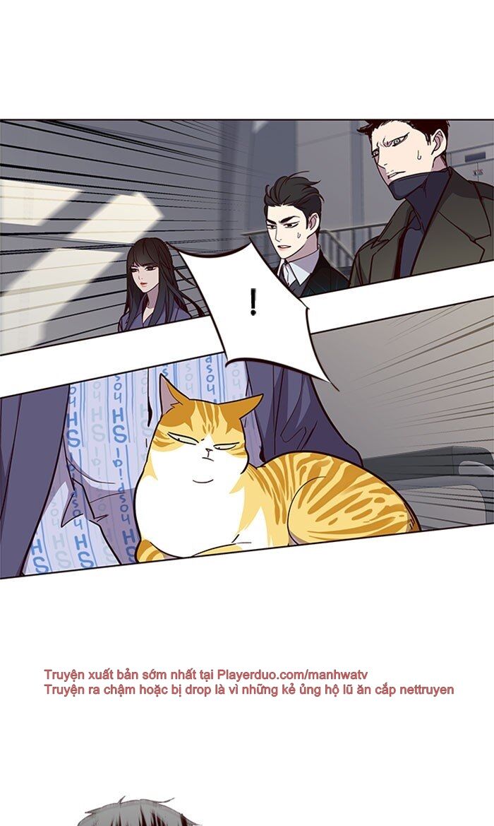 Hoá Thân Thành Mèo Chap 32 - Next Chap 33