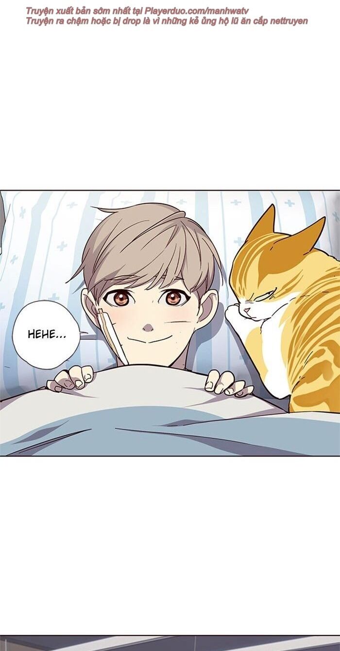 Hoá Thân Thành Mèo Chap 33 - Next Chap 34