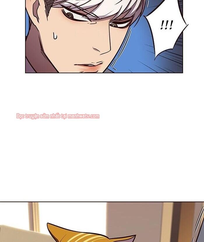 Hoá Thân Thành Mèo Chap 49 - Next Chap 50