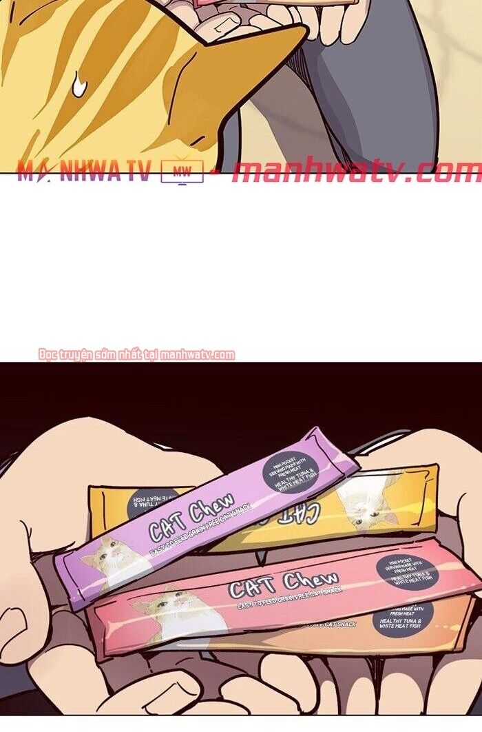 Hoá Thân Thành Mèo Chap 49 - Next Chap 50