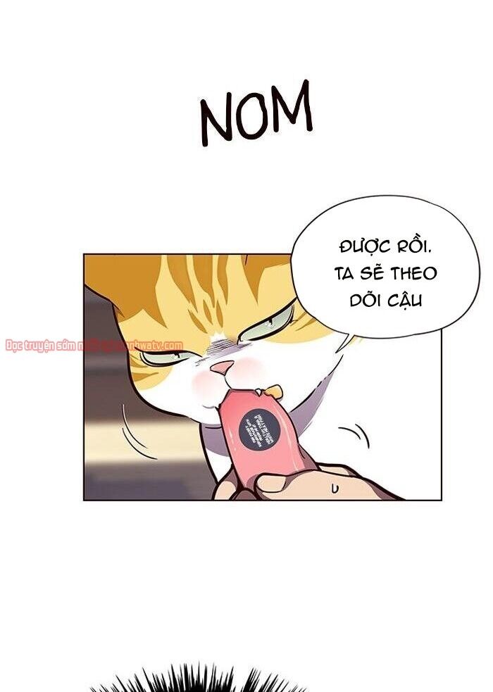 Hoá Thân Thành Mèo Chap 50 - Next Chap 51