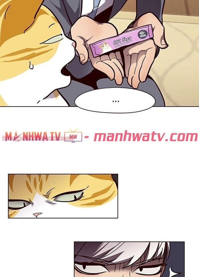 Hoá Thân Thành Mèo Chap 50 - Next Chap 51