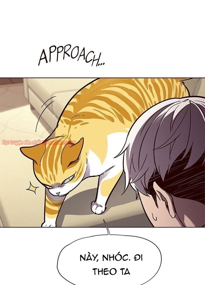 Hoá Thân Thành Mèo Chap 50 - Next Chap 51