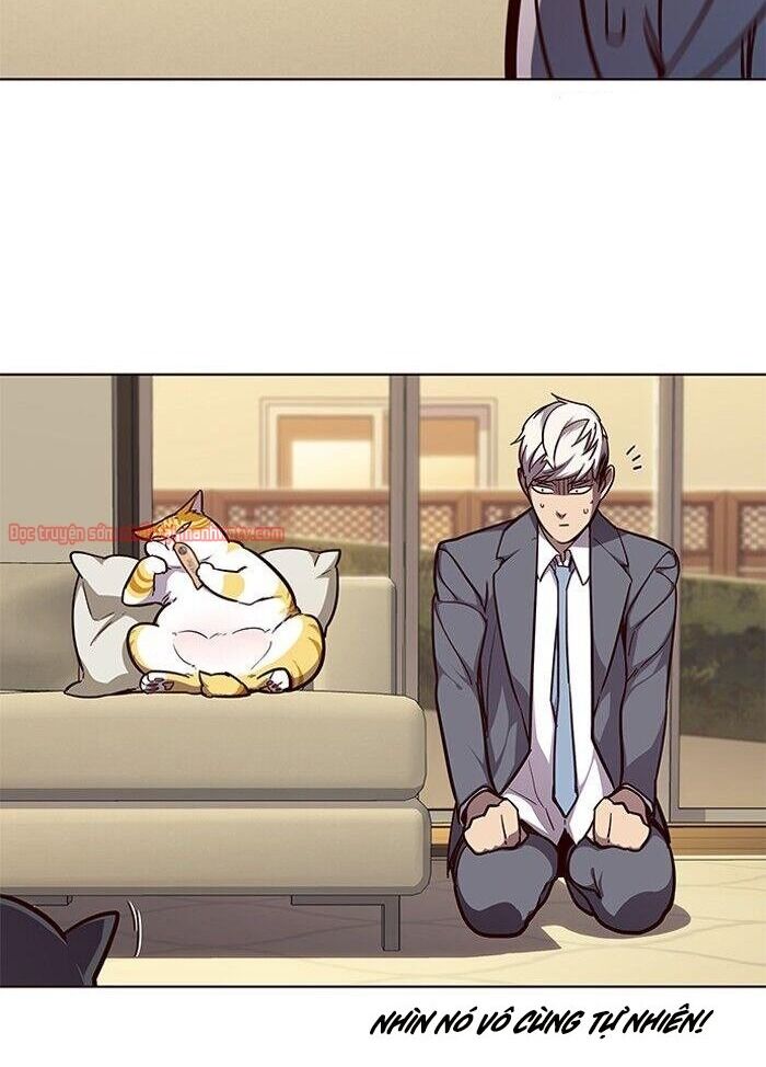 Hoá Thân Thành Mèo Chap 50 - Next Chap 51