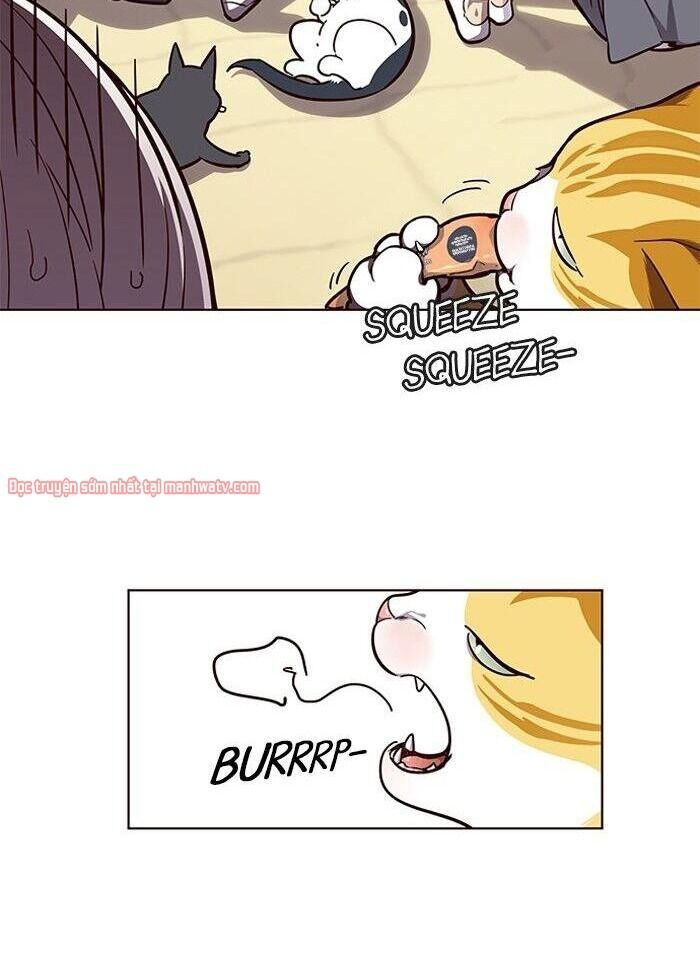 Hoá Thân Thành Mèo Chap 50 - Next Chap 51