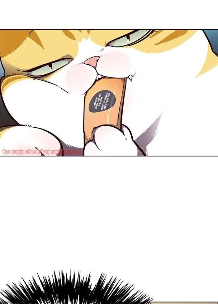 Hoá Thân Thành Mèo Chap 50 - Next Chap 51