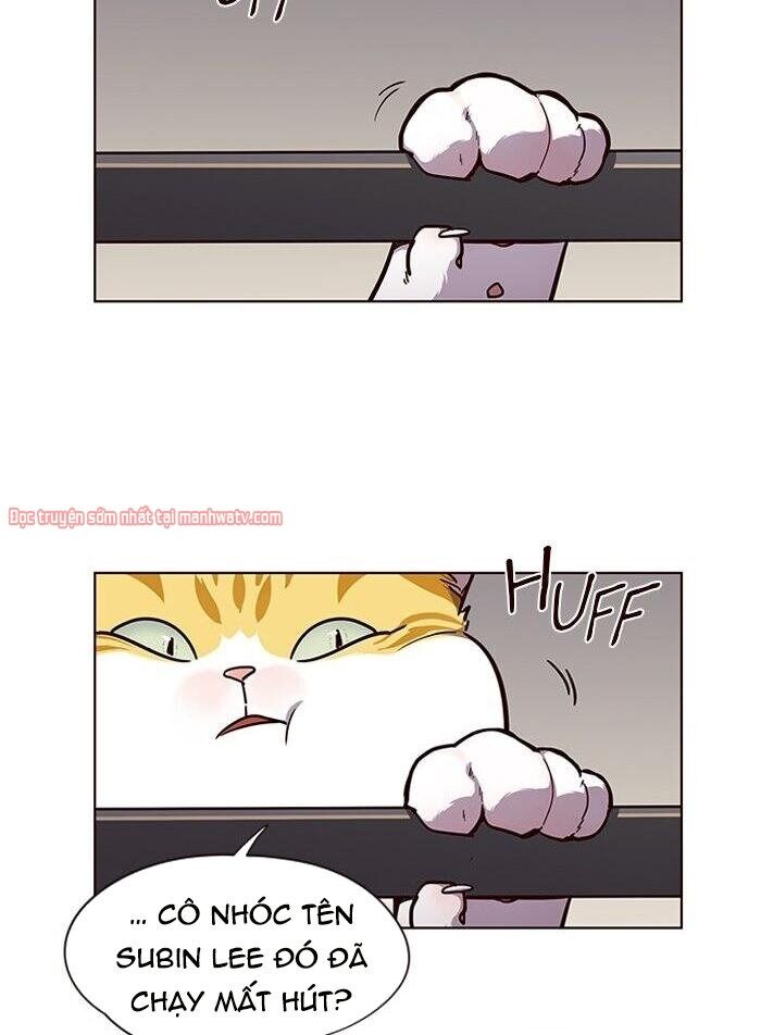 Hoá Thân Thành Mèo Chap 51 - Next Chap 52