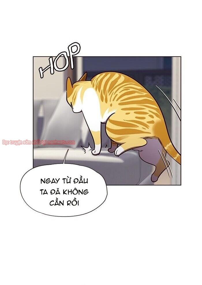 Hoá Thân Thành Mèo Chap 51 - Next Chap 52