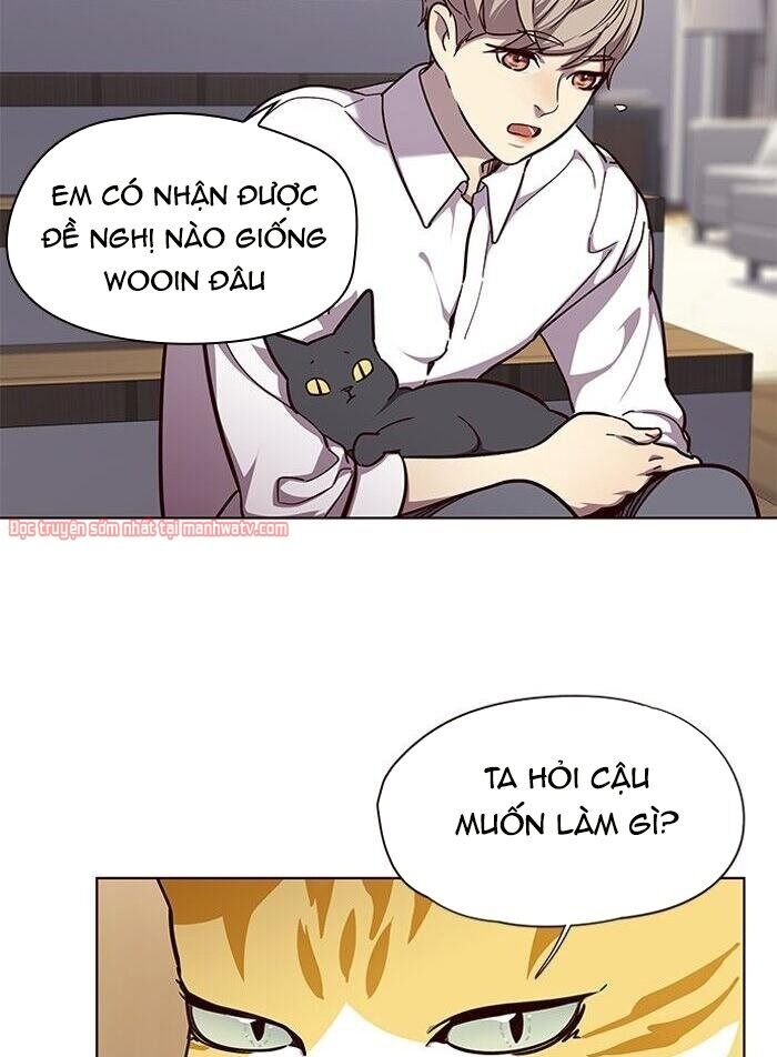 Hoá Thân Thành Mèo Chap 51 - Next Chap 52