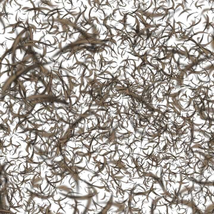 Bắc Kiếm Giang Hồ Chap 80 - Next Chap 81