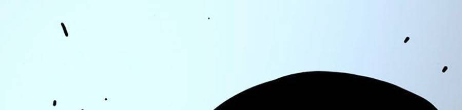 Để Có Thể Sống Sót Chap 53 - Next Chap 54