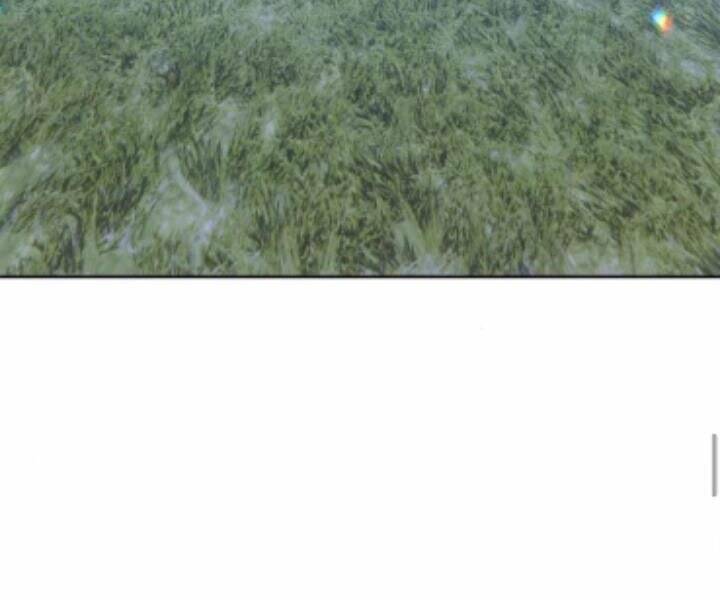 Gậy Gỗ Cấp 99+ Chap 10.5 - Next Chap 11.5