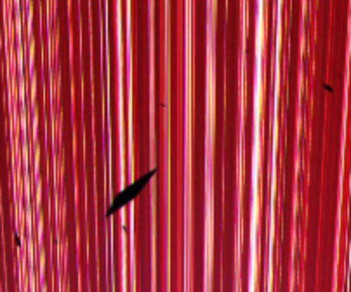 Gậy Gỗ Cấp 99+ Chap 10.5 - Next Chap 11.5