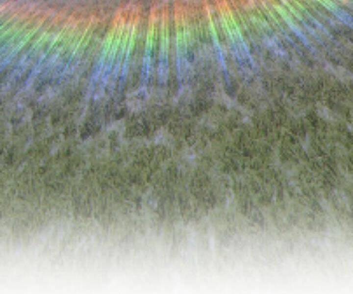 Gậy Gỗ Cấp 99+ Chap 10.5 - Next Chap 11.5