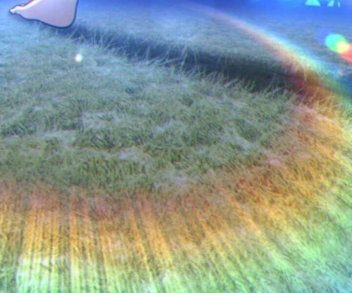 Gậy Gỗ Cấp 99+ Chap 10.5 - Next Chap 11.5