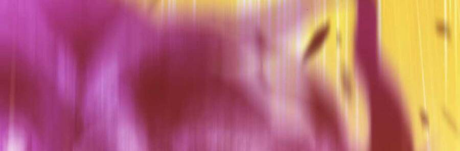 Gậy Gỗ Cấp 99+ Chap 12 - Next Chap 13