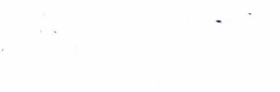 Gậy Gỗ Cấp 99+ Chap 12 - Next Chap 13