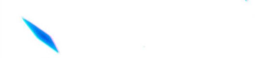 Gậy Gỗ Cấp 99+ Chap 12 - Next Chap 13