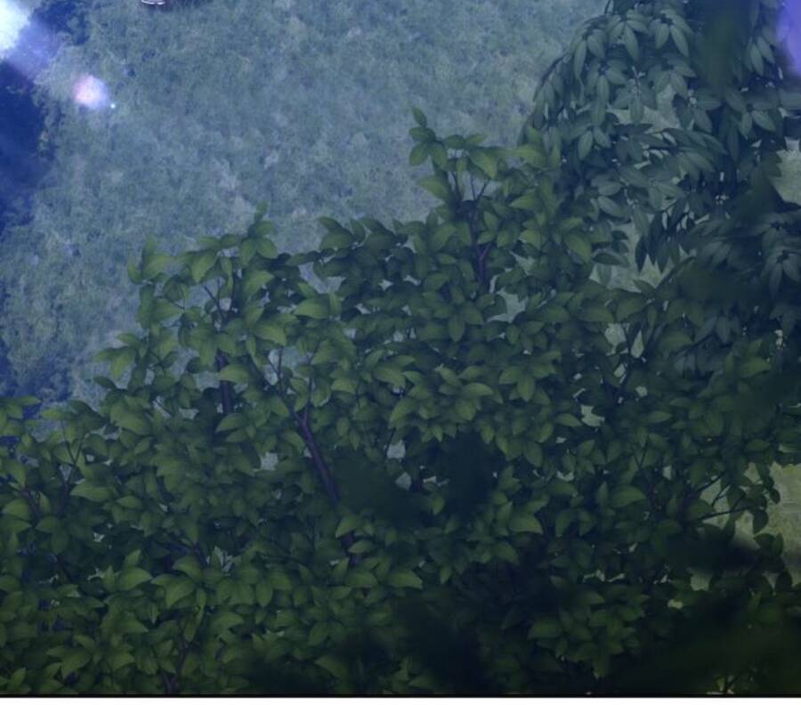 Gậy Gỗ Cấp 99+ Chap 11 - Next Chap 12